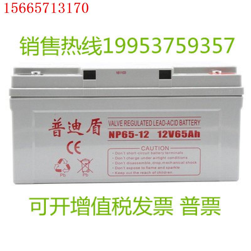 普迪盾蓄电池12V38AH直流屏NP38-12应急UPS电源EPS消防主机太阳能