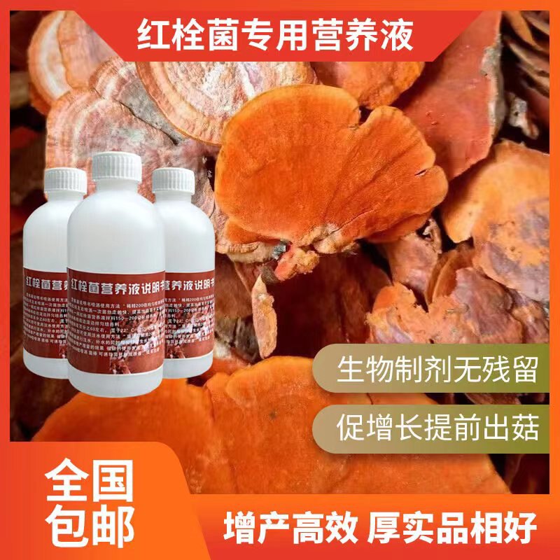 红栓菌专用营养液    营养液水培  红栓菌专用生长素