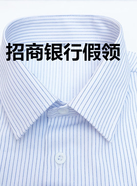 白底蓝条男女通用职业装假领子