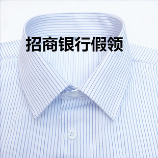 招商银行 白底蓝条 男女通用假领子 职业装领子衬衣领