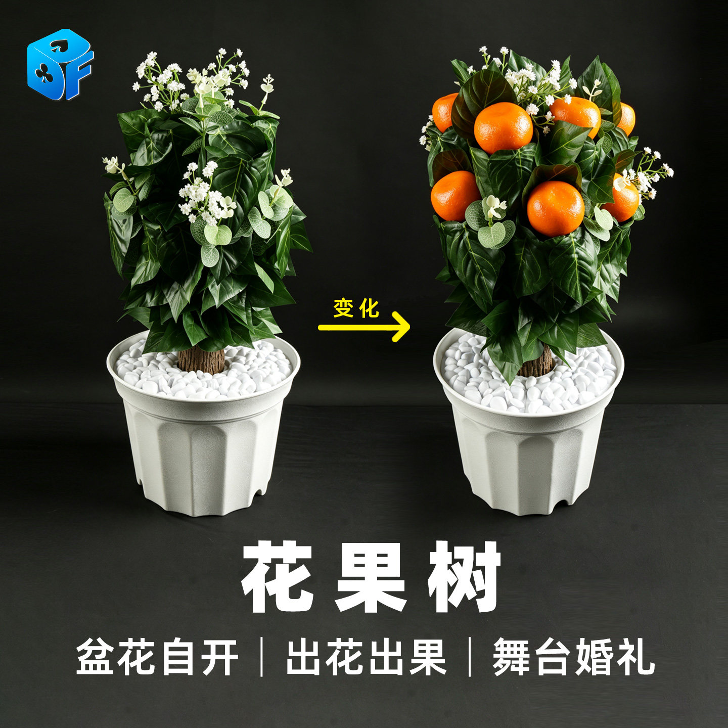 北方魔术花果树盆花自开舞台道具