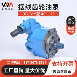 B80 B125N摆线齿轮油泵Y B32 B40 B25 B10 B16 B63 B50
