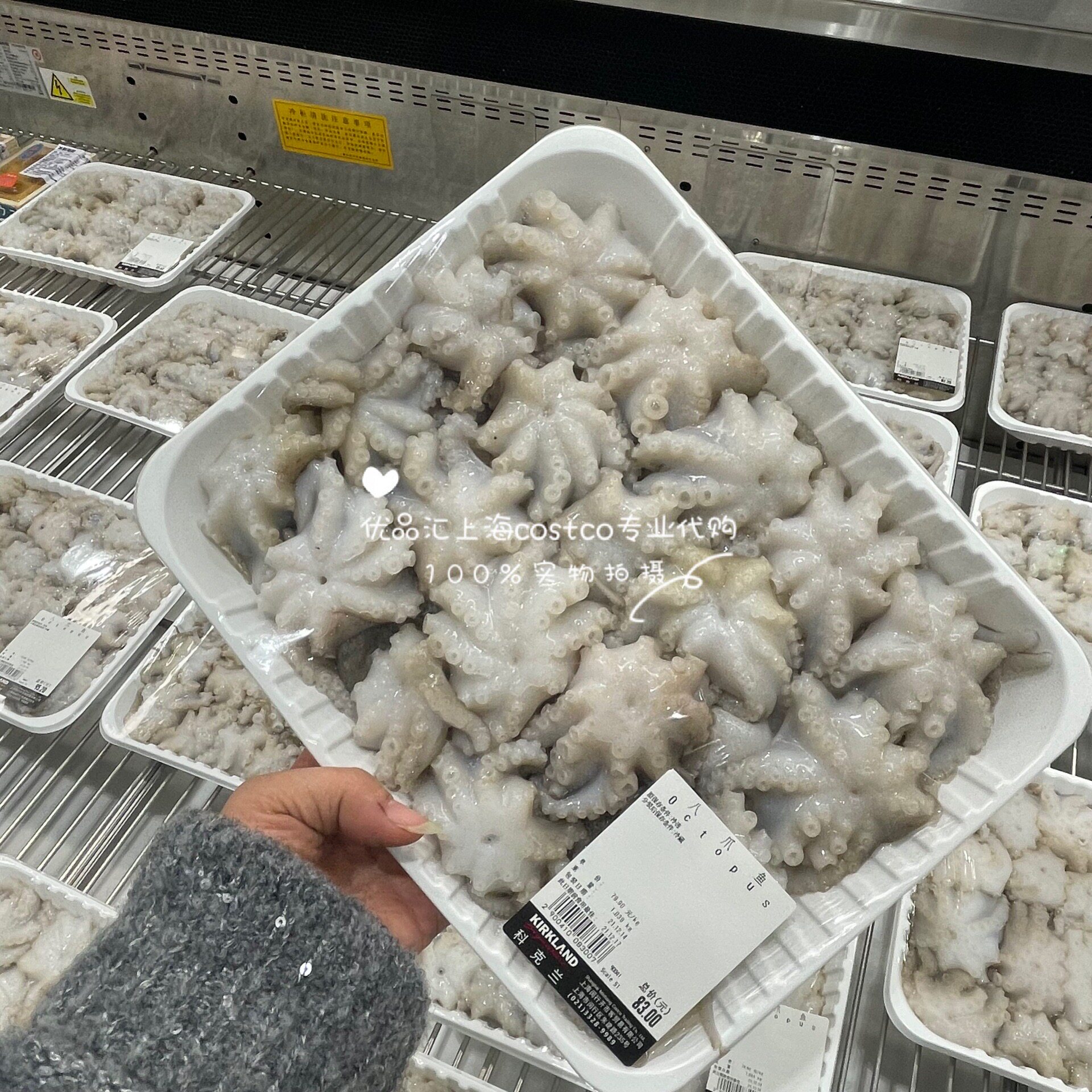 冰鲜舟山八爪鱼海鲜河鲜水产