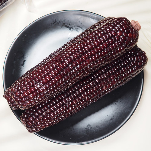 农到家黑糯玉米10枚