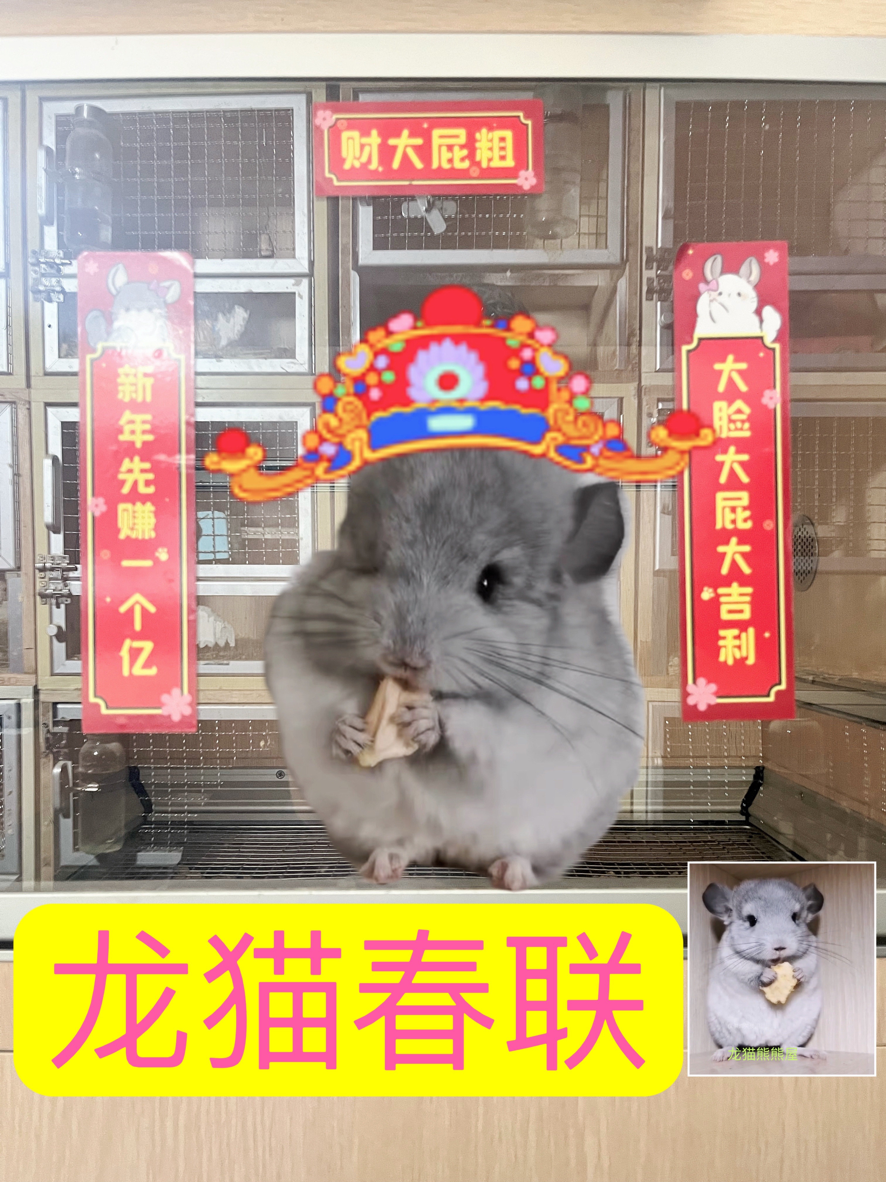 宠物春联宠物对联龙猫熊熊屋