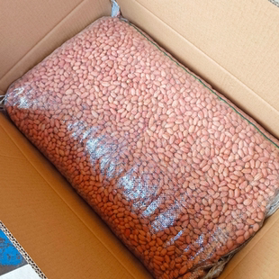 手剥花生米8筛以上大粒水培花生芽菜种植发芽专用花育9616花育25