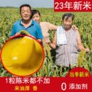 龙山小米脂食用级黄小米新米特香糯黄月子胃新米布袋 2023新头茬