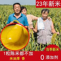 2023新头茬】龙山小米脂食用级黄小米新米特香糯黄月子胃新米布袋