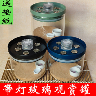 透明玻璃鸣虫叫罐蟋蟀蝈蝈油葫芦黑虫带灯观赏罐蛐蛐用品用具大全