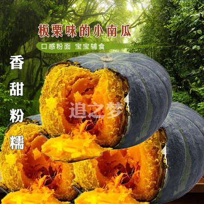 绿板栗南瓜种子高产贝贝味香甜糯