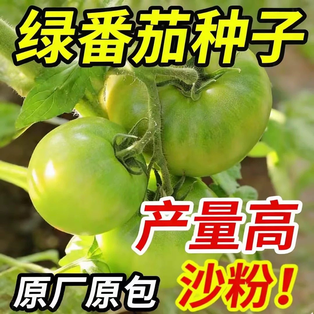 贼不偷老品种番茄种子家庭阳台种植盆栽地栽绿番茄沙粉西红柿种子,鲜花速递/花卉仿真/绿植园艺,家庭园艺种子,淘宝优惠券,粉丝福利购,淘宝优惠卷