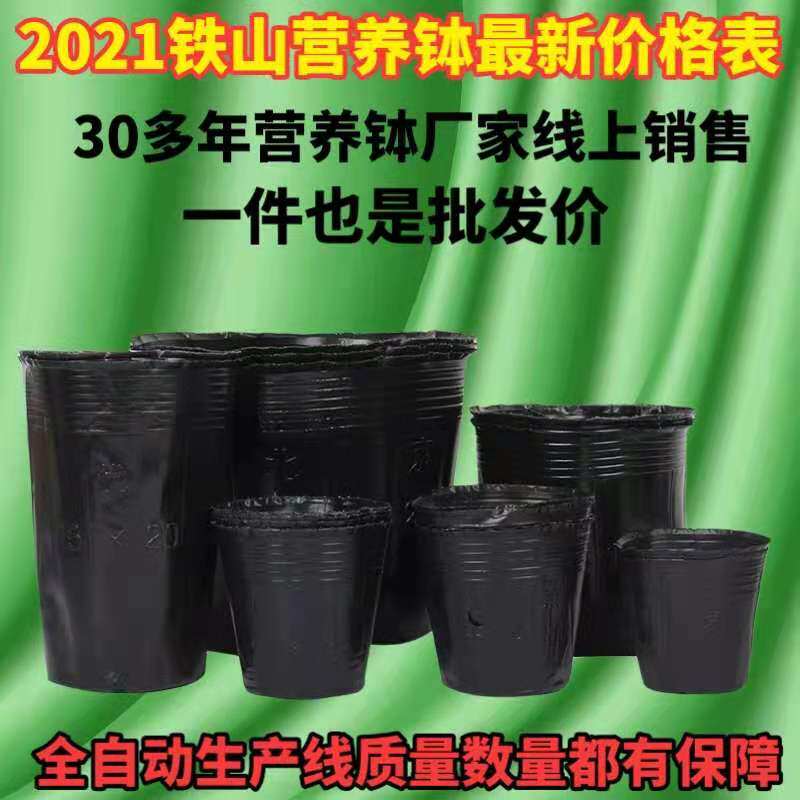 营养杯育苗杯营养钵育苗盆塑料加厚一次性农用营养袋育苗袋花盆大