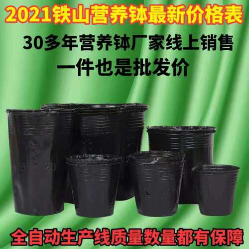 营养钵塑料农用育苗杯加厚一次性