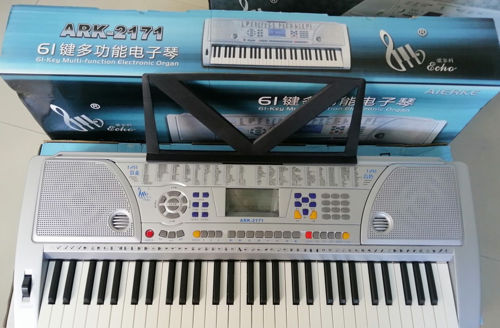 爱尔科61键多功能电子琴幼师入门儿童初学多功能教学琴ARK一2171