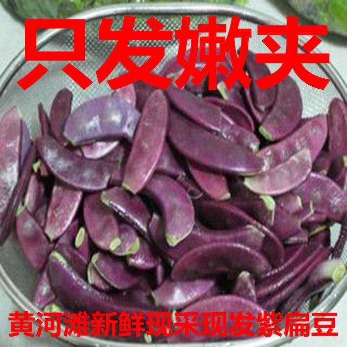 紫眉豆新鲜紫扁豆3时令红梅豆荚现摘猪耳朵眉豆蔬菜200克包邮食用