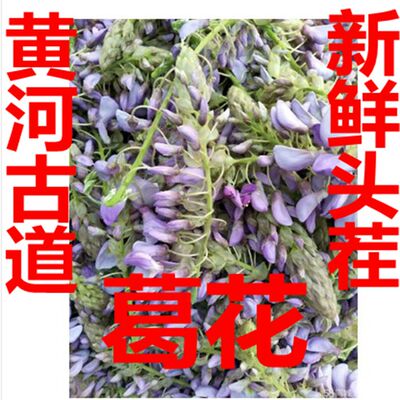 黄河故道新鲜紫葛花现采现发