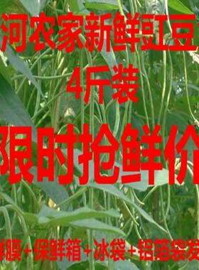 黄河农家自种露天新鲜蔬菜豇豆长豆角 长豇豆 嫩豆角 现摘4斤包邮