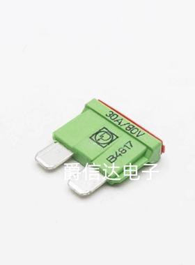166.7000.5302 PUDENZ保险插片 30A/80V 进口力特 中号汽车保险丝