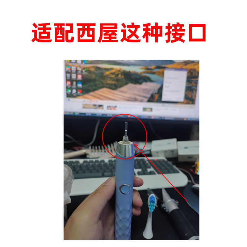 通用西屋电动牙刷头配套配件两只装 301b301p301w501w567/301GF