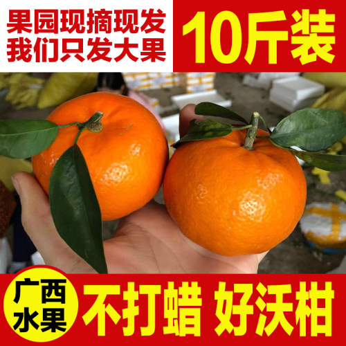 正宗广西武鸣沃柑新鲜10斤9斤整箱精选一级大果包邮水果当季