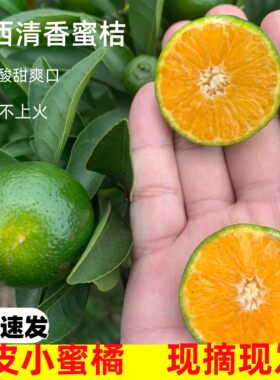 广西桂林清香蜜橘青绿皮小桔子当季新鲜酸甜水果非茶橘沃青龙橘子