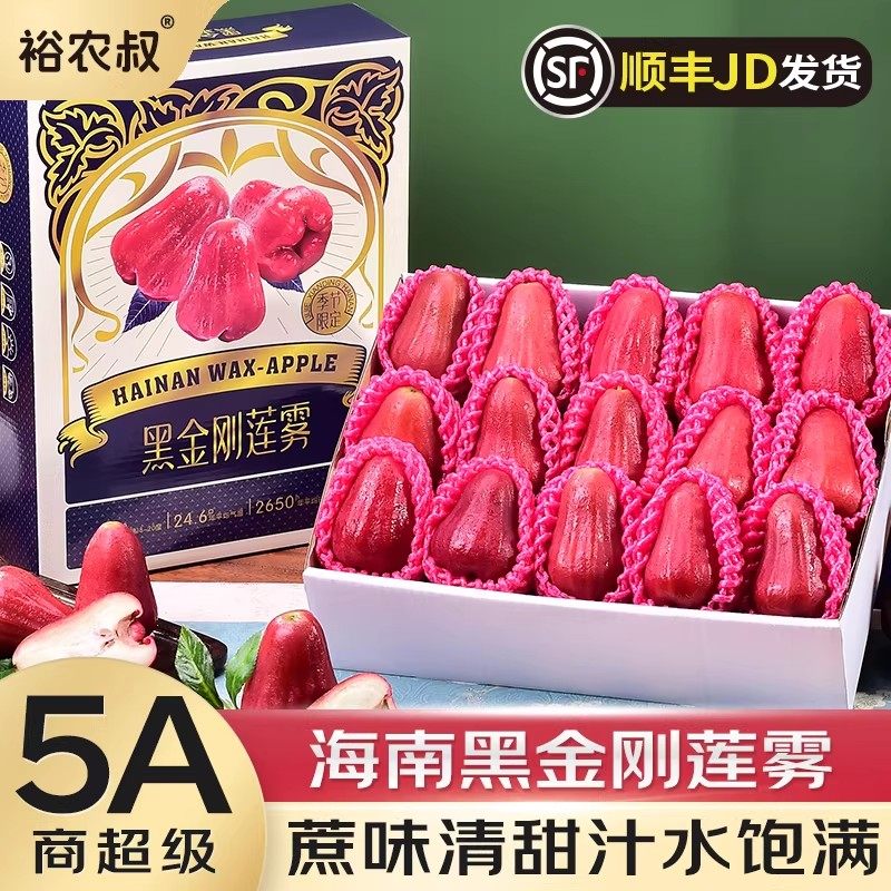 顺丰海南黑金刚莲雾果三亚树上熟精品大果新鲜孕妇水果现摘连雾,水产肉类/新鲜蔬果/熟食,莲雾,淘宝优惠券,粉丝福利购,淘宝优惠卷