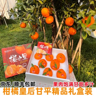 正宗甘平柑橘皇后礼盒装当季新鲜水果蜜橘纯甜小金牛桔子非粑粑柑