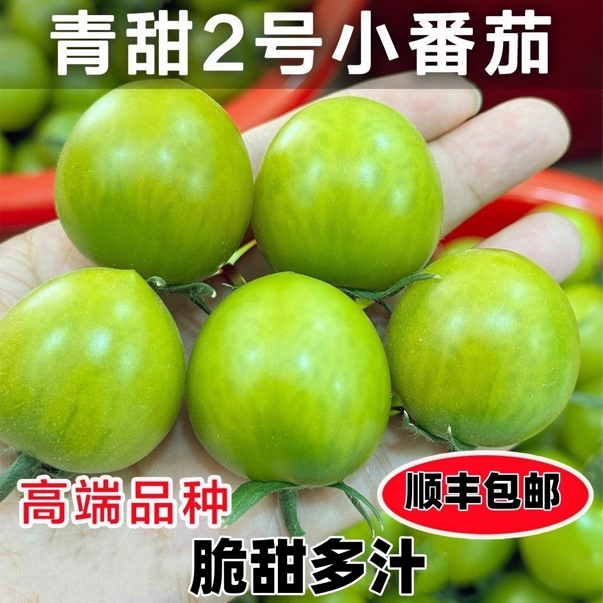 青甜2号绿色小番茄青霞圣女果清甜翡翠柿子非青口蜜当季新鲜水果,水产肉类/新鲜蔬果/熟食,番茄,淘宝优惠券,粉丝福利购,淘宝优惠卷