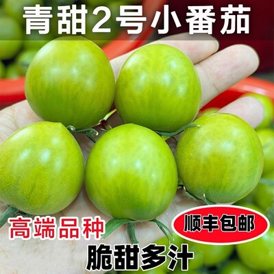 青甜2号绿色小番茄青霞圣女果清甜翡翠柿子非青口蜜当季新鲜水果