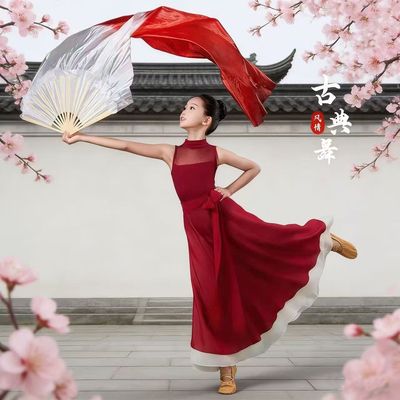 女童古典舞演出服飘逸纱衣大摆