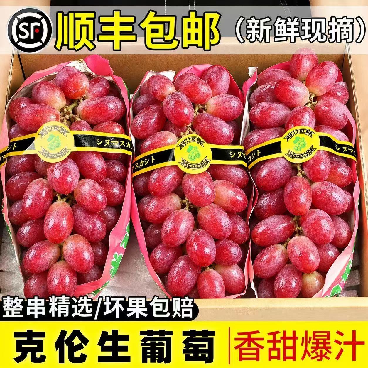 克伦生红提现摘无核脆甜