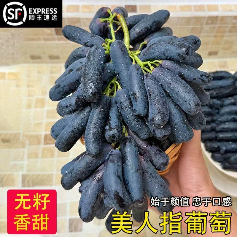 果园直发当季无籽美人指葡萄