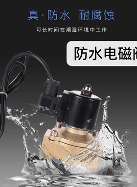 2W纯铜防水电磁阀跑泉喷泉水下电磁阀AC220V DC24V4分6分1寸现货