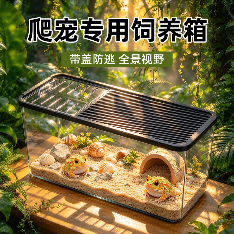 防越狱爬宠饲养箱守宫蜥蜴缸寄居蟹甲虫角蛙蛇陆龟箱乌龟专用鱼缸