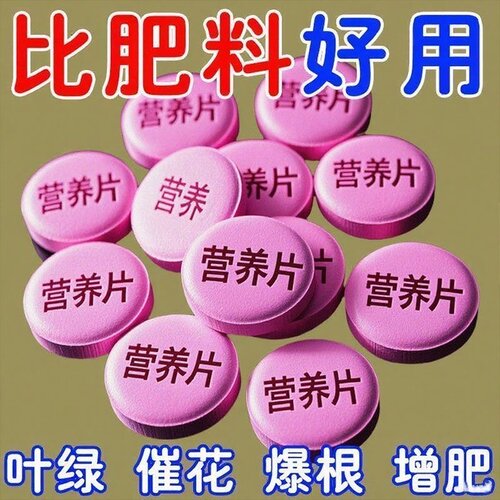 浓缩植物养护片缓释型肥料片氮磷钾绿植种花养花通用型家用果蔬盆
