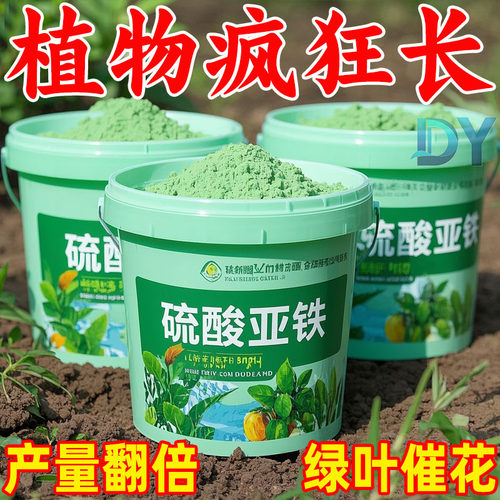 硫酸亚铁肥栀子花茉莉花富贵竹预防黄叶促生根通用型养花水溶肥料