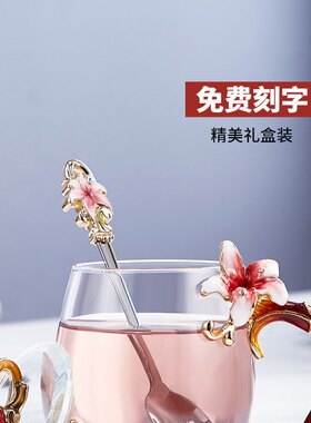 诺诗曼创意轻奢玻璃杯子女办公室夏天女士泡茶杯水杯生日礼物女