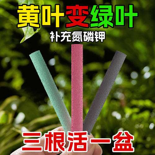 三色植物营养棒缓释棒盆栽花卉多肉通用型缓释营养棒养花肥急救棒