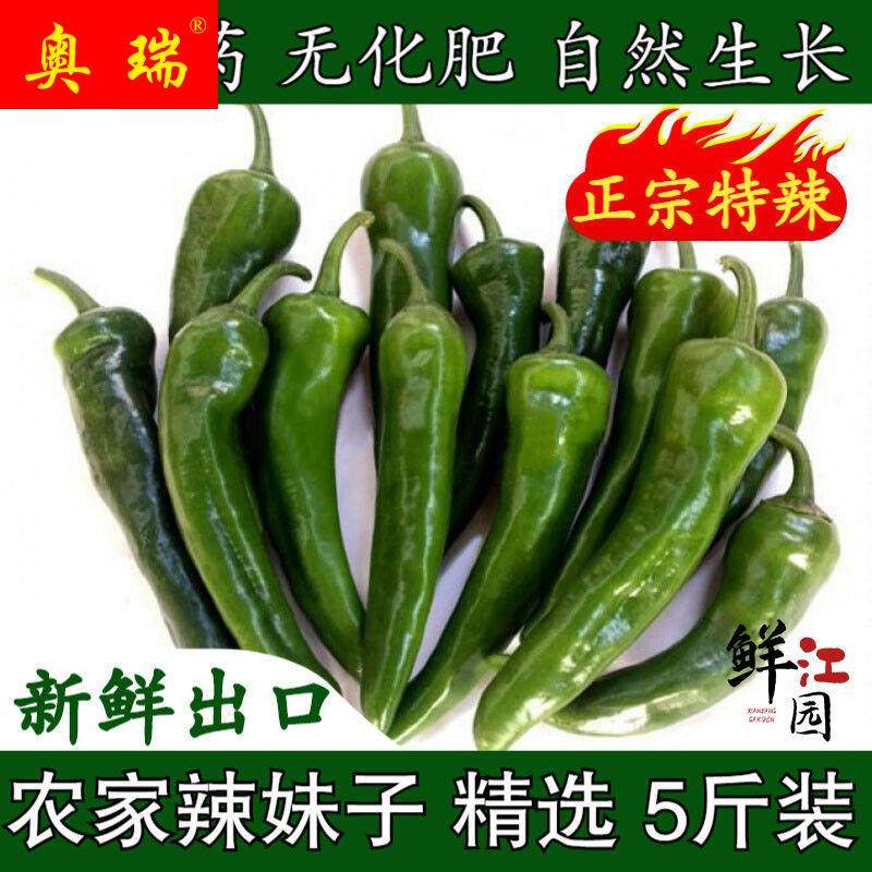 新鲜辣妹子辣椒超级辣特别辣东北小辣椒薄皮青尖辣椒腌制蘸酱蔬菜