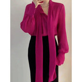 复古设计感小众微透雪纺衫 女2025年秋季 新款 法式 气质显瘦百搭衬衫