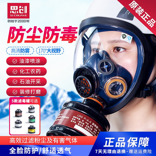 防毒面具防一氧化碳全脸防护面罩