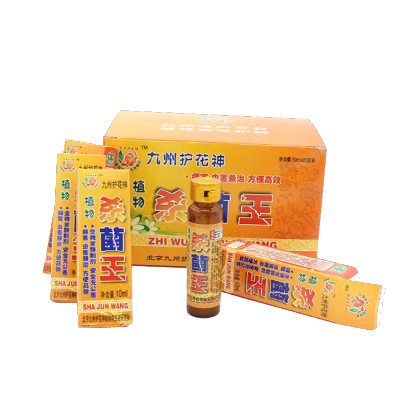 多肉花卉九州护花神厂家直销