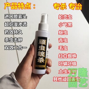 北京九州护花神绿花神顽虫统杀双效合一喷雾剂蚧壳虫小黑飞红蜘蛛