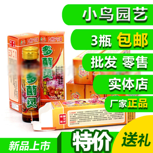 三瓶包邮九州护花神烂根霉菌植物通用型黑腐黑斑病多肉特别灵月季