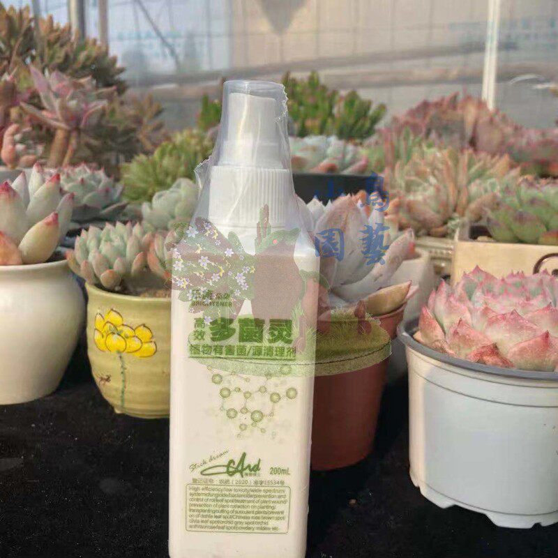 乐施花卉白粉病多肉杀虫杀菌小黑飞无味直喷剂蚧壳虫红白蜘蛛蚜虫