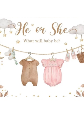 HE OR SHE 宝宝性别揭示迎婴派对背景布 BABY SHOWER
