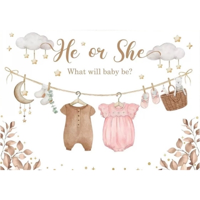 宝宝性别揭示迎婴派对背景布