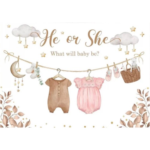 宝宝性别揭示迎婴派对背景布