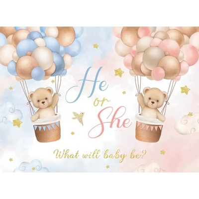 宝宝性别揭示迎婴派对背景布