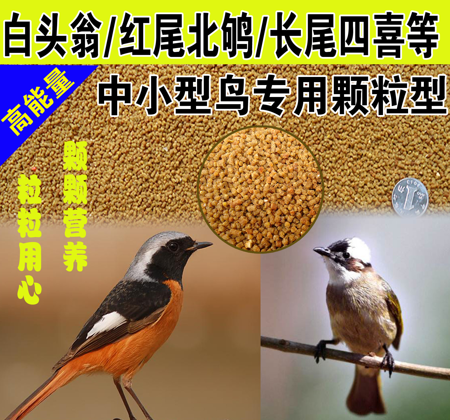嗜虫鸟类专用红尾北鸲白头翁长尾四喜黑白新疆歌鸲等500克包邮